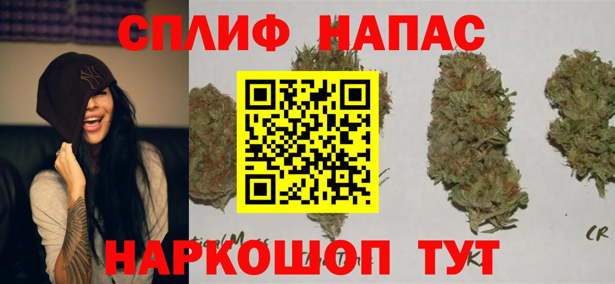 Бошки Шишки семена Отрадный